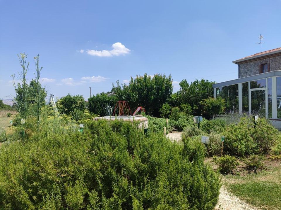 Masseria Fontana Dei Fieri Pietrelcina Buitenkant foto